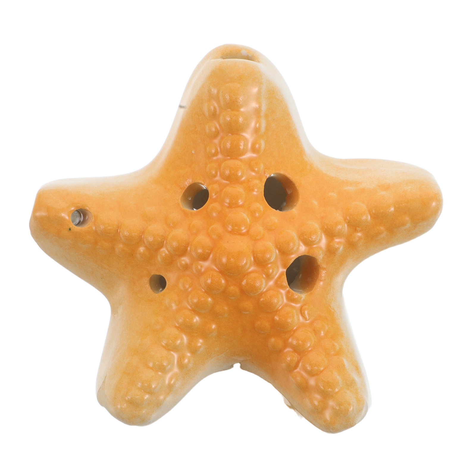 โอคาริน่า Ocean แบบ 6 รู คีย์  - Kids Outdoor Instruments บทวิจารณ์และราคา